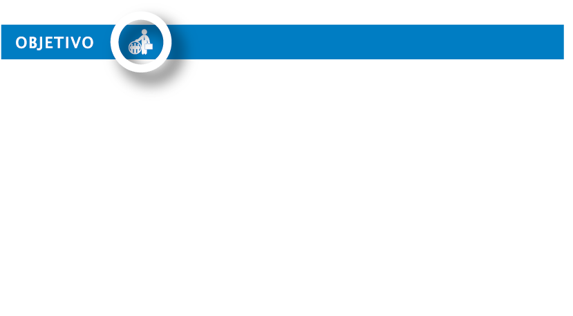 objetivo_texto